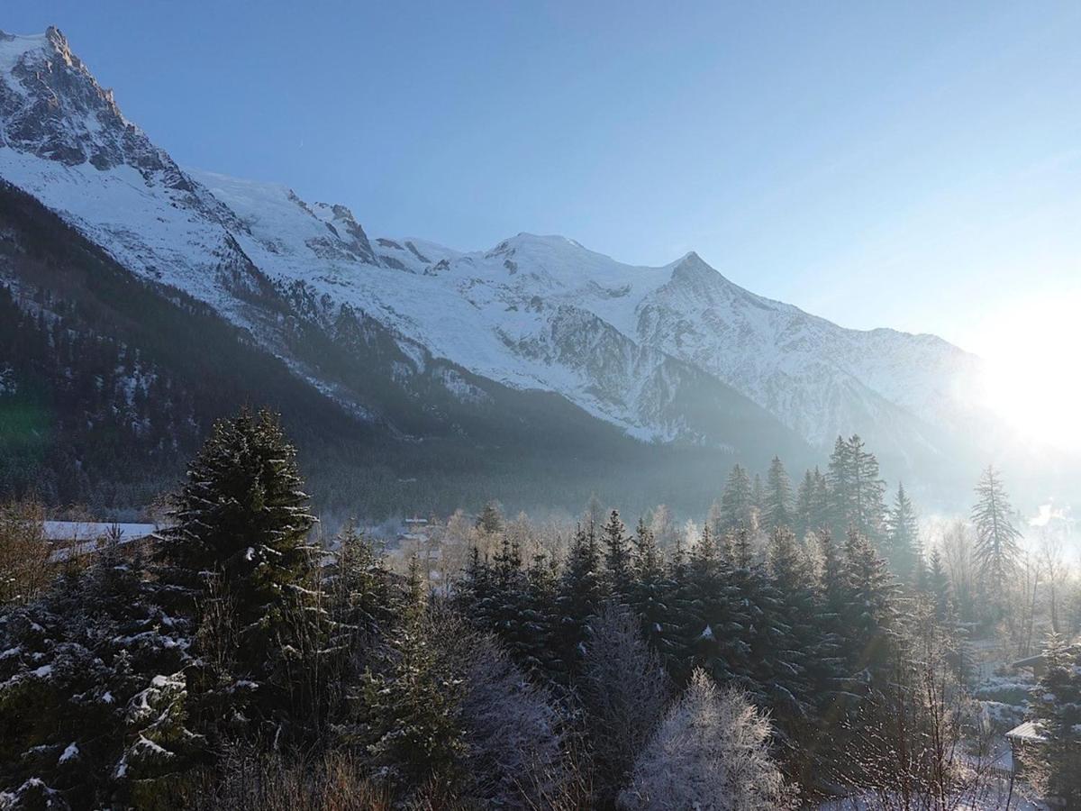 T4 Renove Avec Vue Mont-Blanc, 4 Etoiles, Proche Centre, Parking - Fr-1-507-62 Chamonix Exterior foto